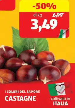 ALDI I colori del sapore castagne offerta