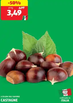 ALDI I colori del sapore castagne offerta