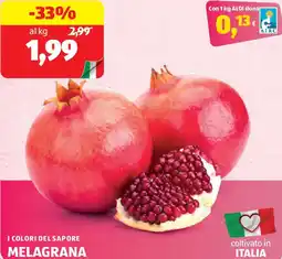 ALDI I colori del sapore melagrana offerta