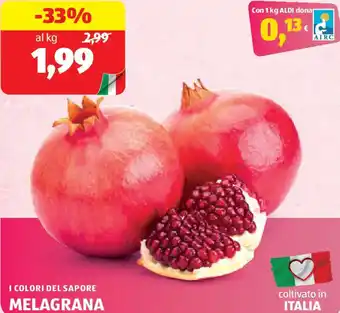 ALDI I colori del sapore melagrana offerta