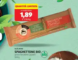 ALDI ALCE NERO SPAGHETTONE BIO offerta