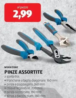 ALDI Workzone pinze assortite offerta