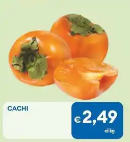 MD Discount Cachi offerta