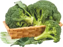 MD Discount BROCCOLETTI offerta