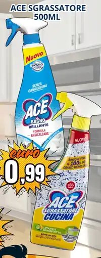 A Casa Mia Ace sgrassatore offerta