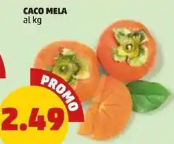 PENNY Caco mela offerta