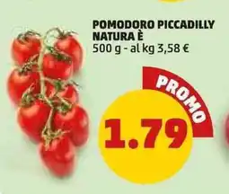 PENNY Pomodoro piccadilly NATURA È offerta