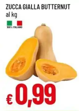Galassia Zucca gialla butternut offerta