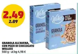 PENNY Granola all'avena, con pezzi di cioccolato WELLESS offerta