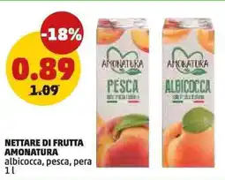 PENNY Nettare di frutta AMONATURA offerta