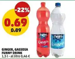 PENNY Ginger, gassosa funny drink offerta
