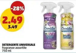 PENNY Detergente universale offerta