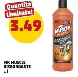 PENNY Mr muscle disgorgante offerta