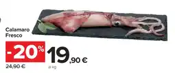 Carrefour CALAMARO FRESCO offerta