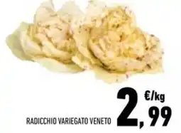 Conad Superstore Radicchio variegato veneto offerta