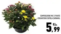 Conad Superstore Composizione mix 3 piante -crisantemo ciotola carnaval offerta