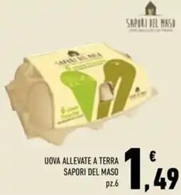 Conad Superstore Uova allevate a terra SAPORI DEL MASO offerta