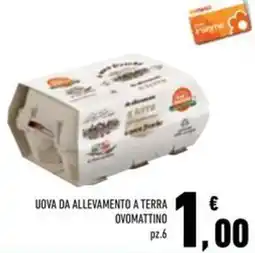 Conad Superstore Uova da allevamento a terra ovomattino offerta