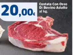 Sigma Costata Con Osso Di Bovino Adulto offerta