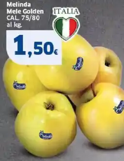 Sigma Melinda Mele Golden offerta