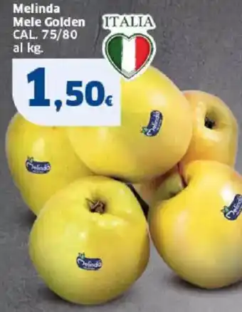 Sigma Melinda Mele Golden offerta