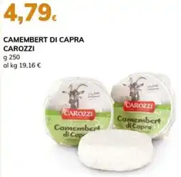 Basko Camembert di capra carozzi offerta