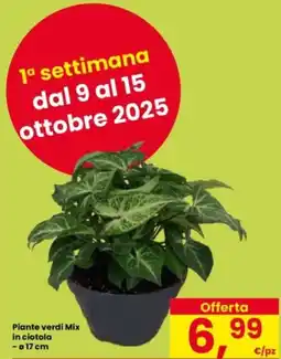 Interspar Piante verdi Mix in ciotola - Ø 17 cm offerta