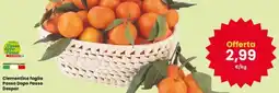 Interspar Clementine foglia Passo Dopo Passo Despar offerta