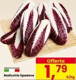 Interspar Radicchio Spadone offerta