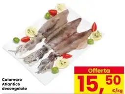 Interspar Calamaro Atlantico decongelato offerta