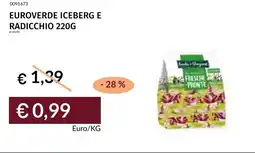 Prezzemolo e Vitale Euroverde iceberg e radicchio offerta