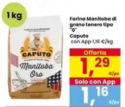 Interspar Farina Manitoba di grano tenero tipo "0" Caputo offerta