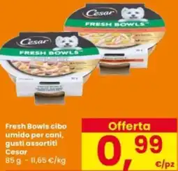 Interspar Fresh Bowls cibo umido per cani, Cesar offerta