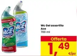 Interspar Wc Gel Ace offerta