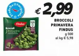 Coal Broccoli primavera FINDUS offerta