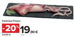 Carrefour Market Calamaro Fresco offerta