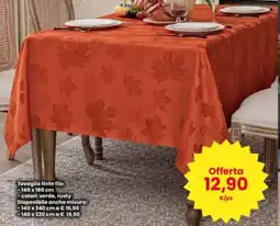 Interspar Tovaglia tinto filo offerta