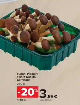 Carrefour Market Funghi Pioppini Filiera Qualità Carrefour offerta