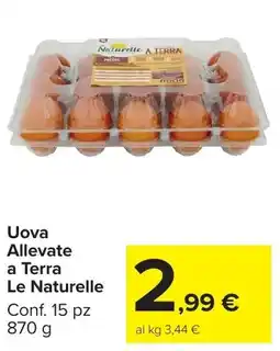Carrefour Market Uova Allevate a Terra Le Naturelle offerta