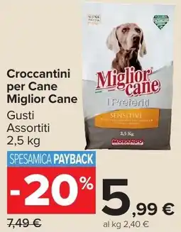 Carrefour Market Croccantini per Cane Miglior Cane offerta