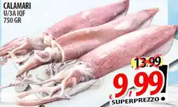 Il Genio Supermercato Calamari offerta