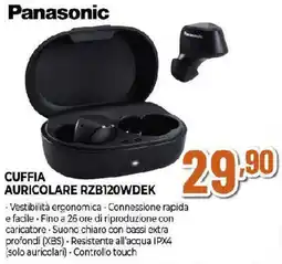 Ipercoop Panasonic CUFFIA AURICOLARE RZB120WDEK offerta