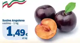 Sigma Susine Angeleno offerta