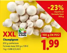 Lidl Champignon XXL offerta
