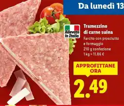 Lidl Tramezzino di carne suina offerta