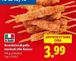 Lidl Arrosticini di pollo marinati stile Kansas offerta