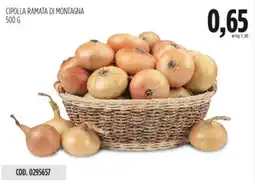Carico Cash & Carry Cipolla ramata di montagna offerta