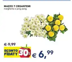 Esselunga MAZZO 7 CRISANTEMI offerta