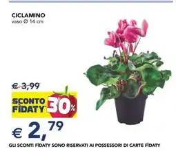 Esselunga CICLAMINO offerta
