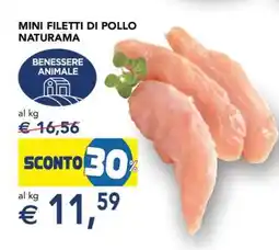 Esselunga Mini Filetti di Pollo Naturama offerta